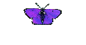 Cahuita