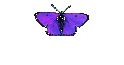 How to find